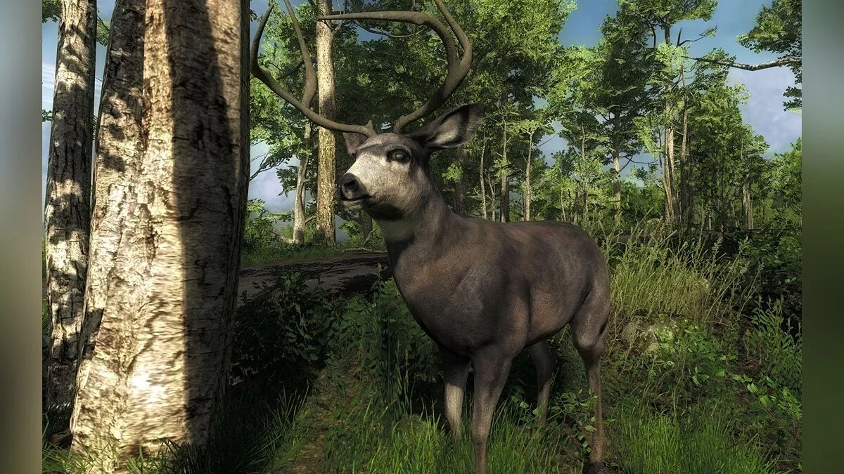 Скриншоты из theHunter / Картинка 13