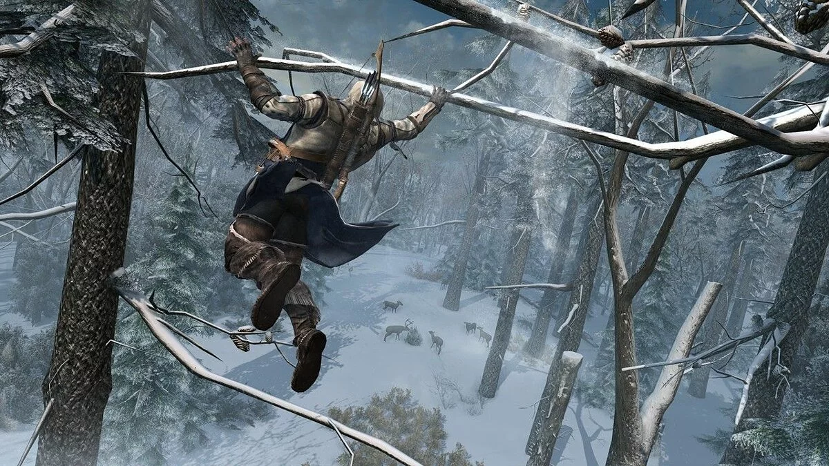 Assassin's Creed 3 (AC3) - Главный герой