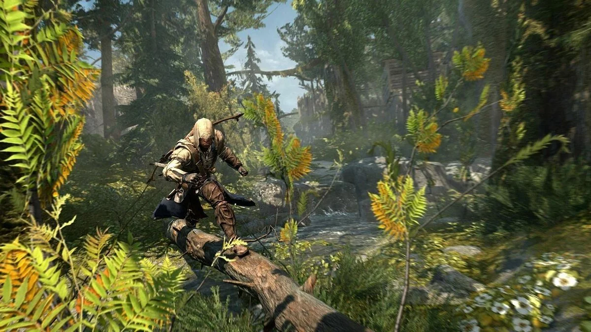 Скриншоты из Assassin's Creed 3 / Картинка 102