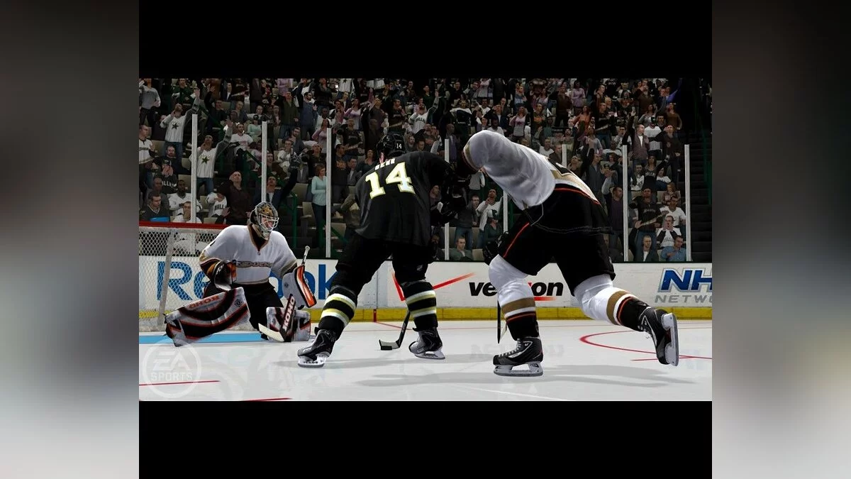 Скриншоты из NHL 13 / Картинка 3