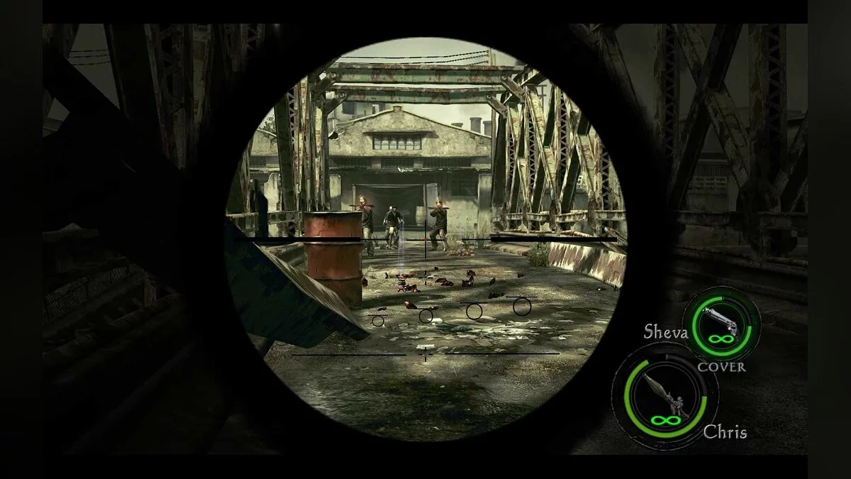 Скриншоты из Resident Evil 5 / Картинка 145