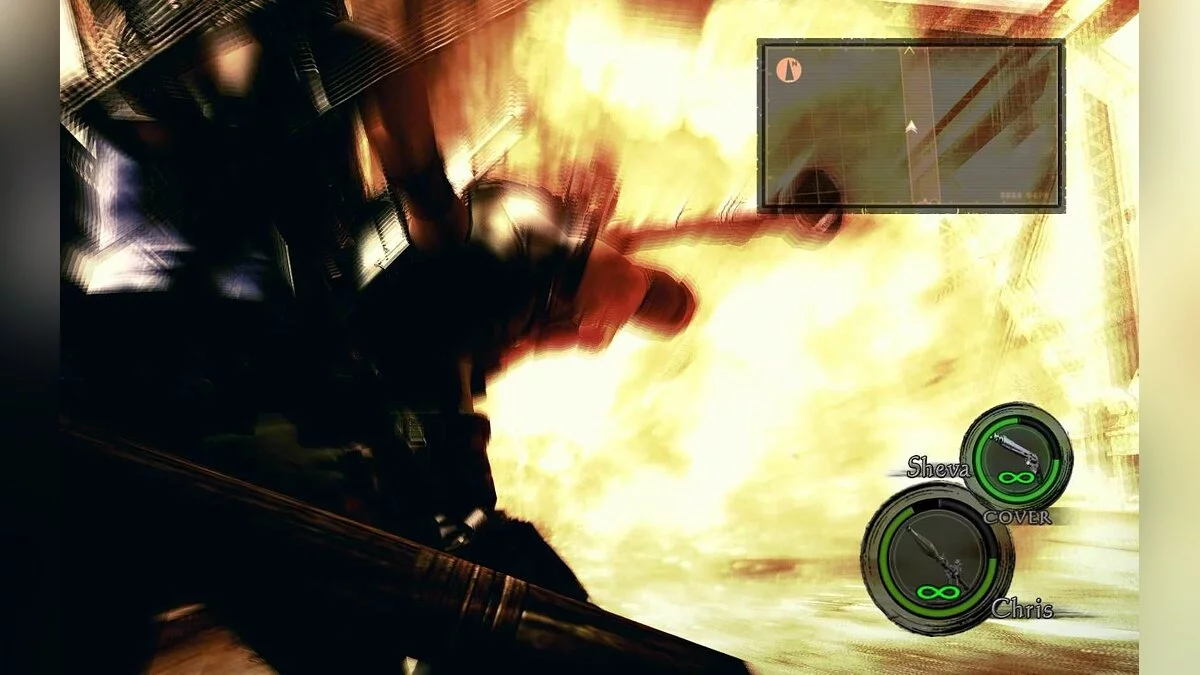 Скриншоты из Resident Evil 5 / Картинка 142