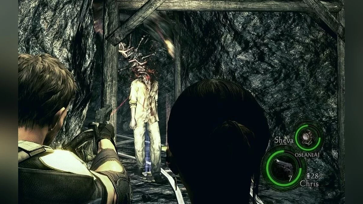 Скриншоты из Resident Evil 5 / Картинка 172