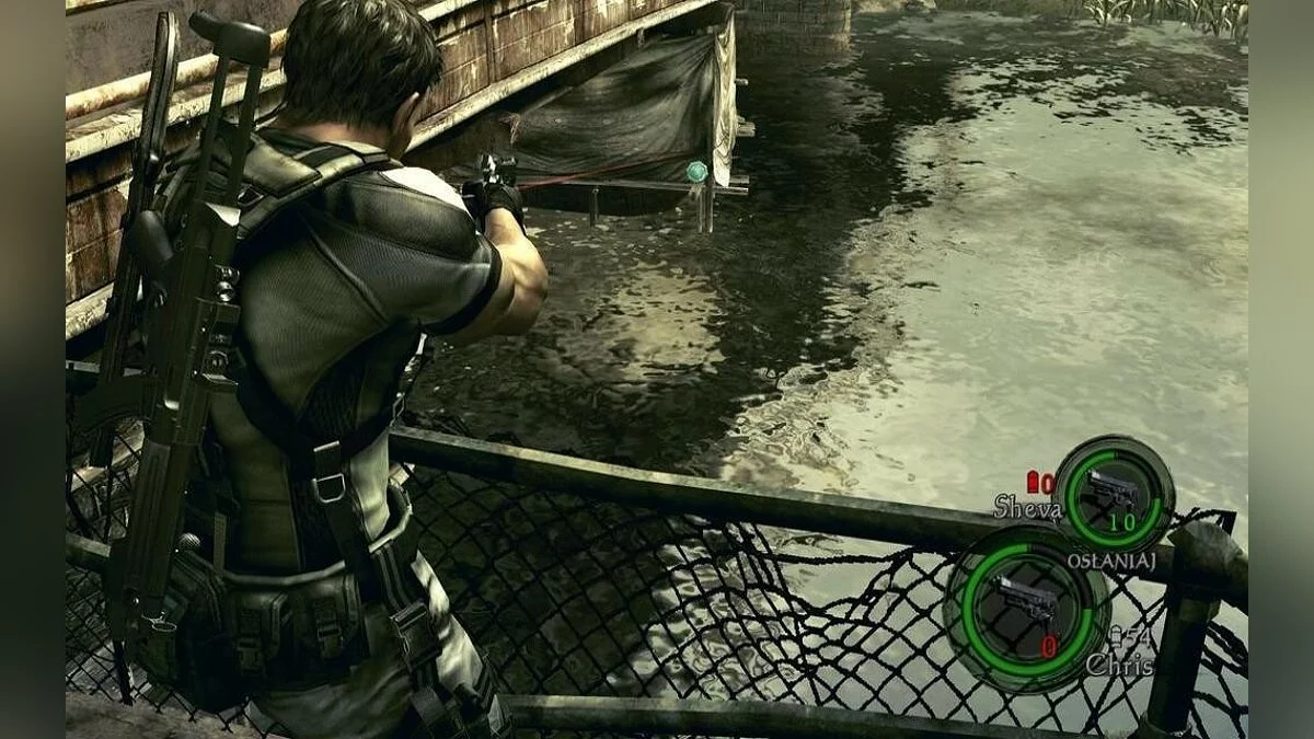 Скриншоты из Resident Evil 5 / Картинка 178
