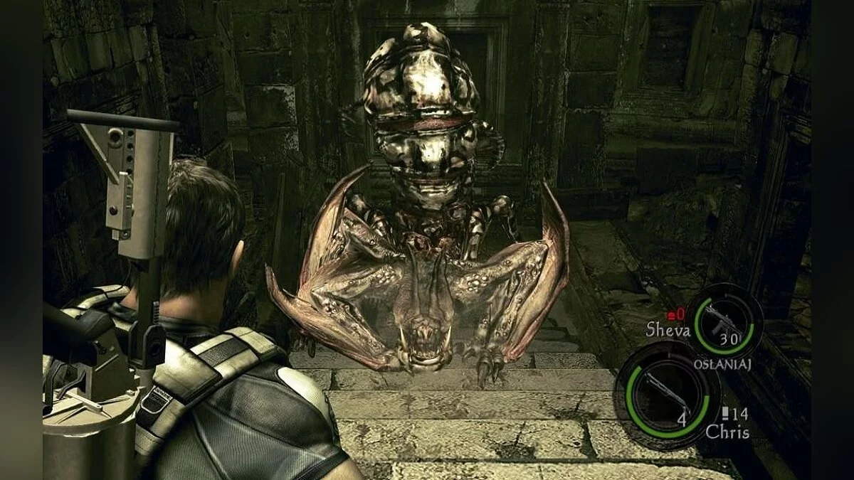 Скриншоты из Resident Evil 5 / Картинка 184