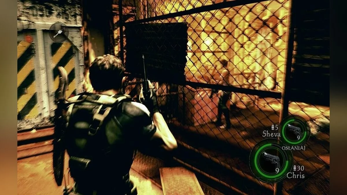 Скриншоты из Resident Evil 5 / Картинка 187