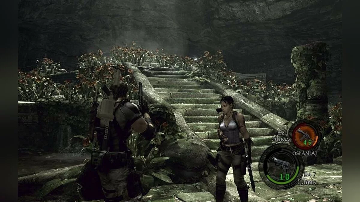 Скриншоты из Resident Evil 5 / Картинка 188
