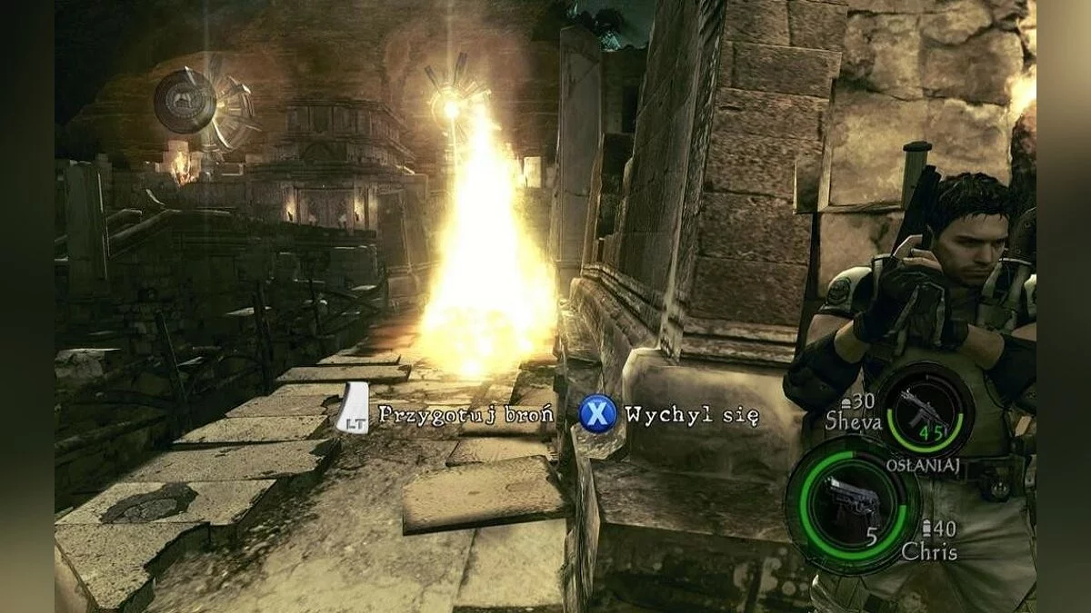 Скриншоты из Resident Evil 5 / Картинка 192