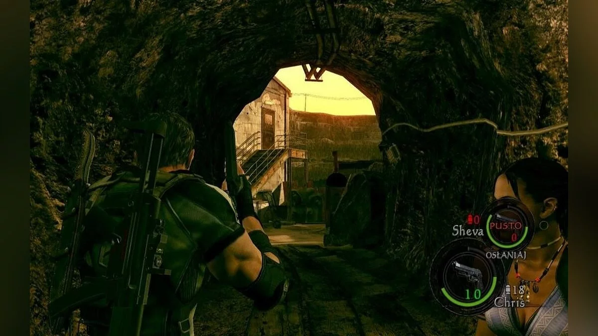 Скриншоты из Resident Evil 5 / Картинка 200