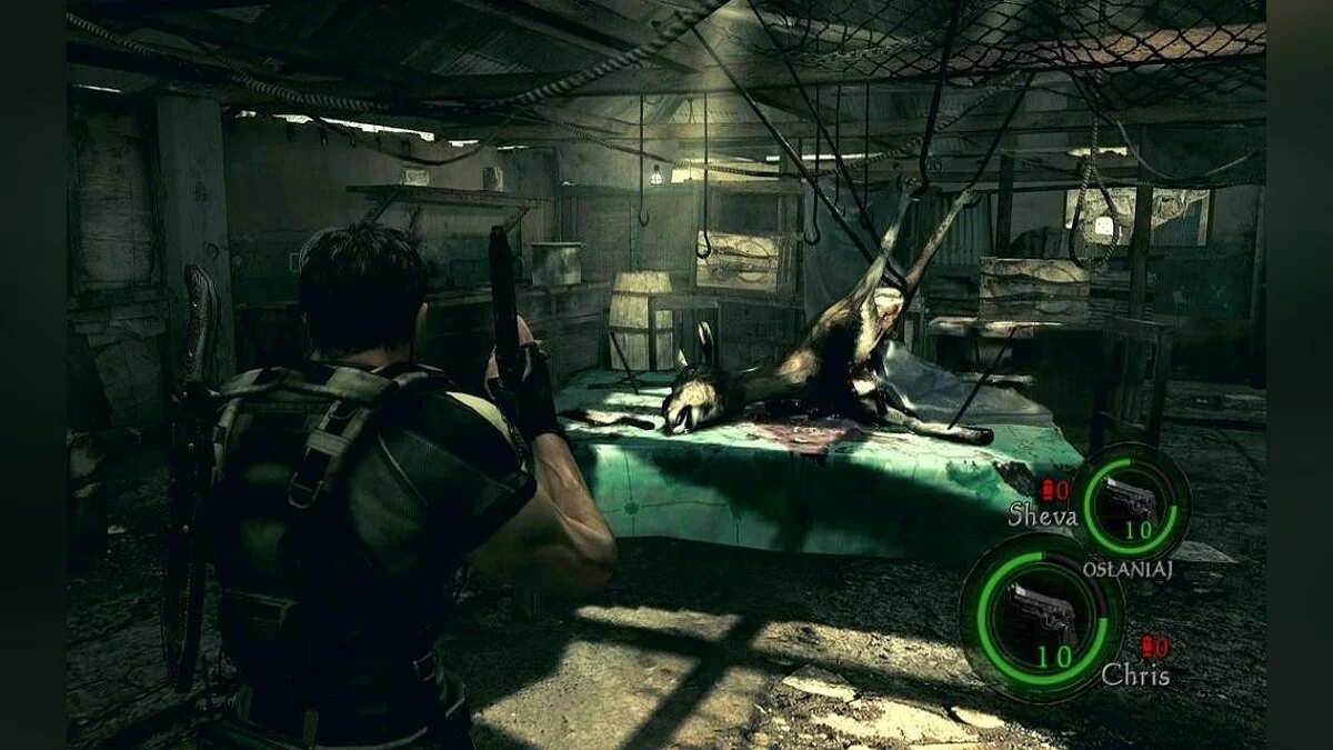 Скриншоты из Resident Evil 5 / Картинка 203