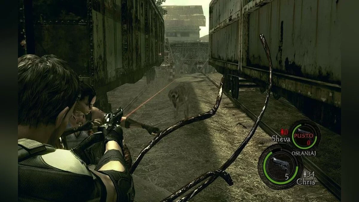 Скриншоты из Resident Evil 5 / Картинка 204