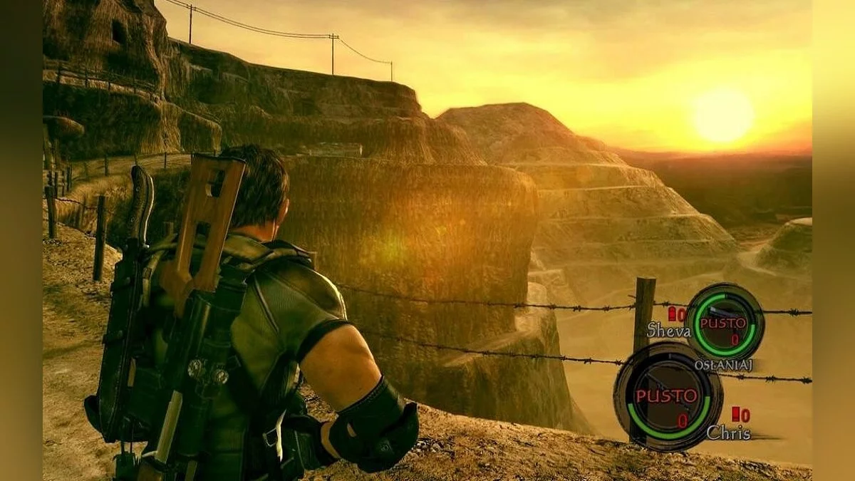 Скриншоты из Resident Evil 5 / Картинка 211