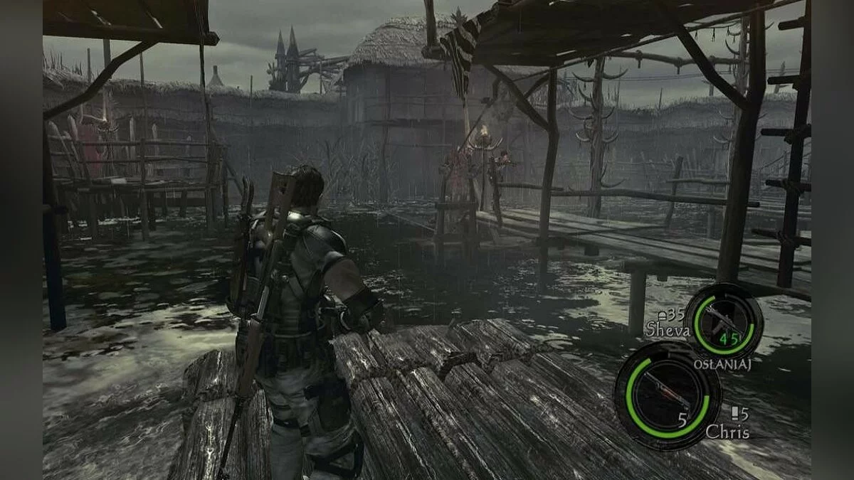 Скриншоты из Resident Evil 5 / Картинка 213