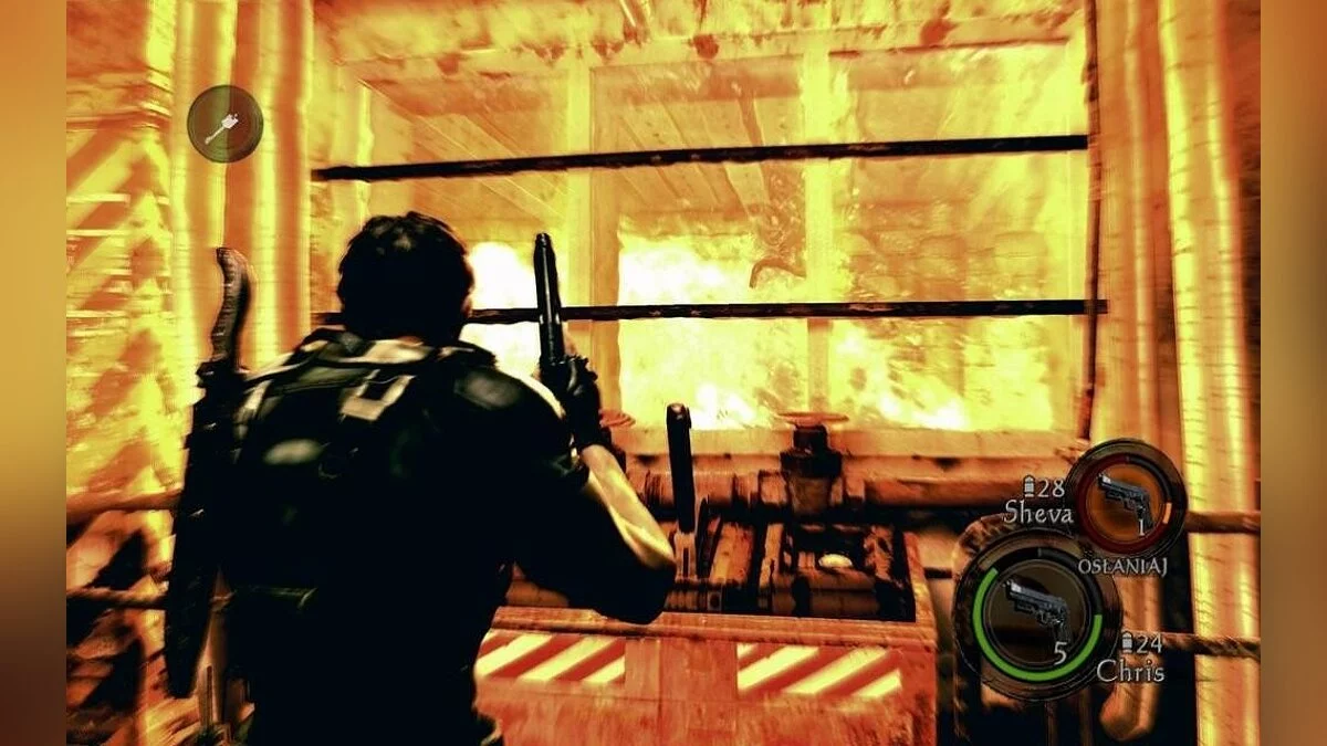 Скриншоты из Resident Evil 5 / Картинка 214