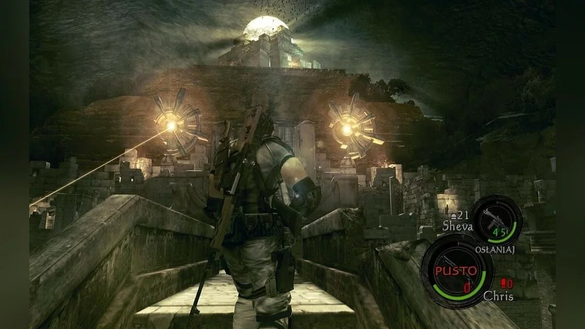 Скриншоты из Resident Evil 5 / Картинка 223