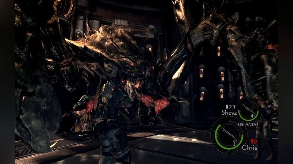Скриншоты из Resident Evil 5 / Картинка 227