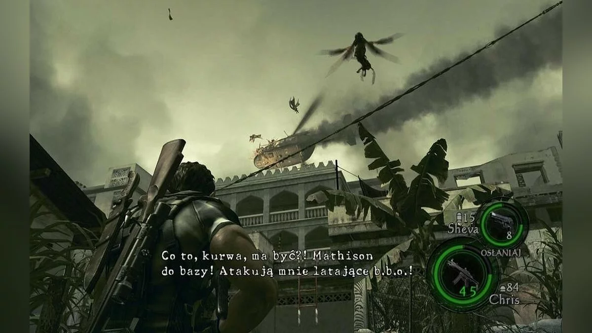 Скриншоты из Resident Evil 5 / Картинка 230