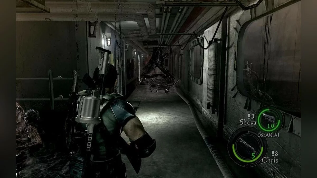 Скриншоты из Resident Evil 5 / Картинка 231