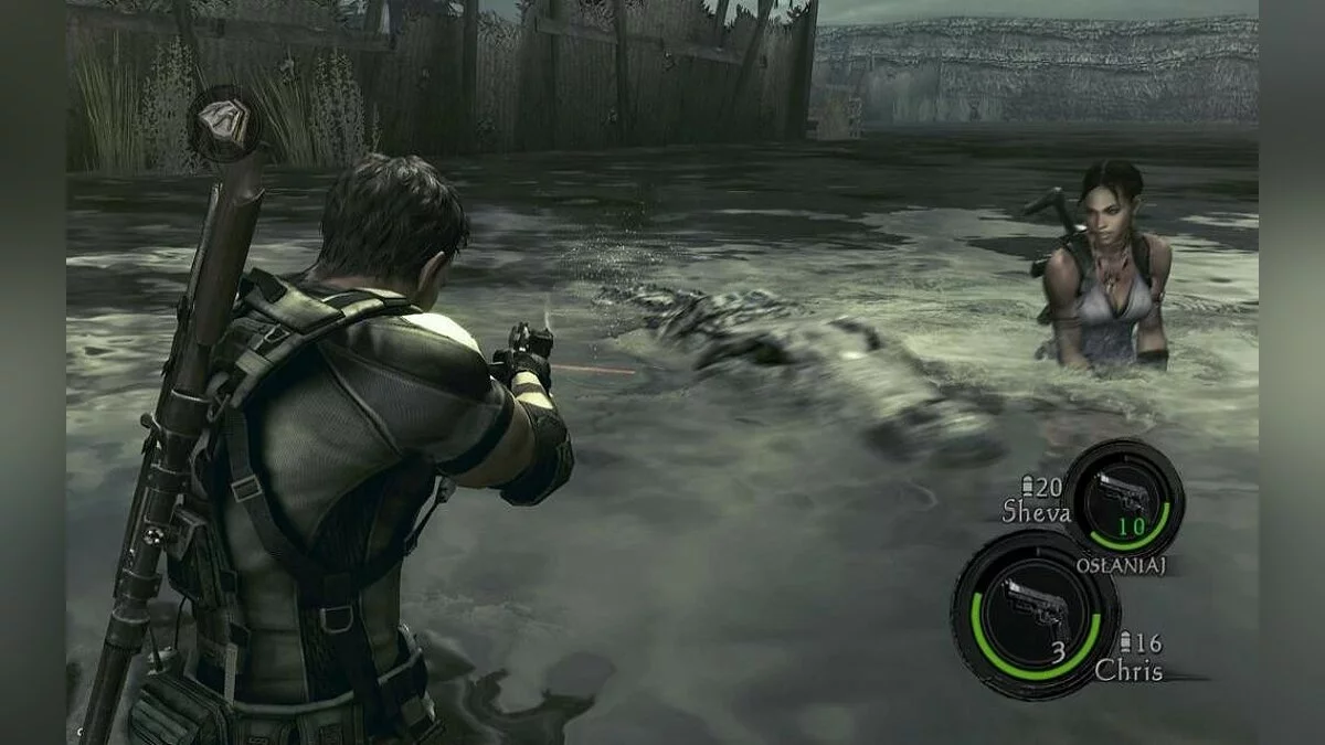 Скриншоты из Resident Evil 5 / Картинка 234