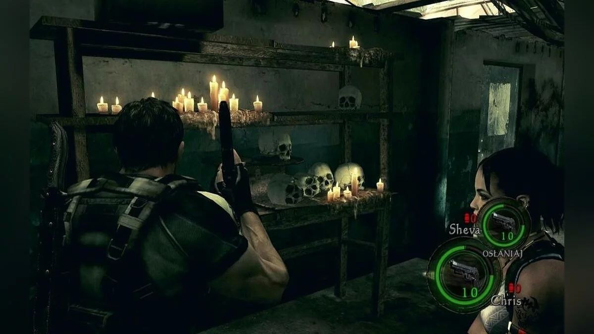 Скриншоты из Resident Evil 5 / Картинка 238