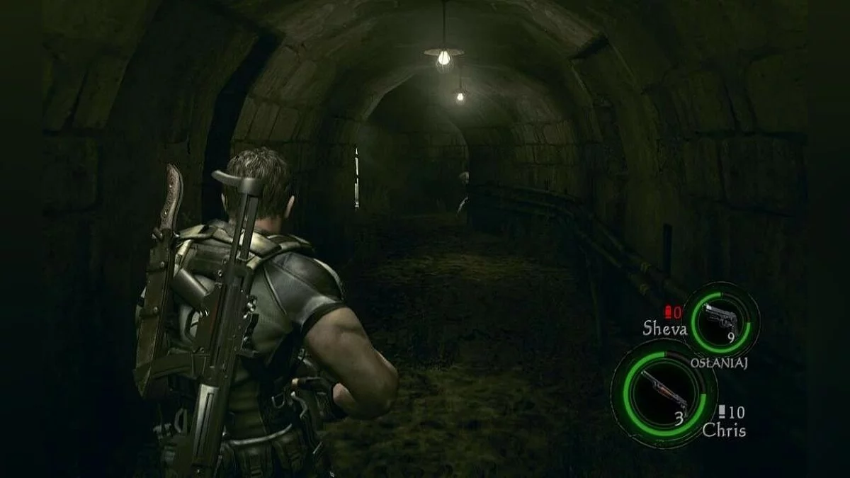 Скриншоты из Resident Evil 5 / Картинка 240