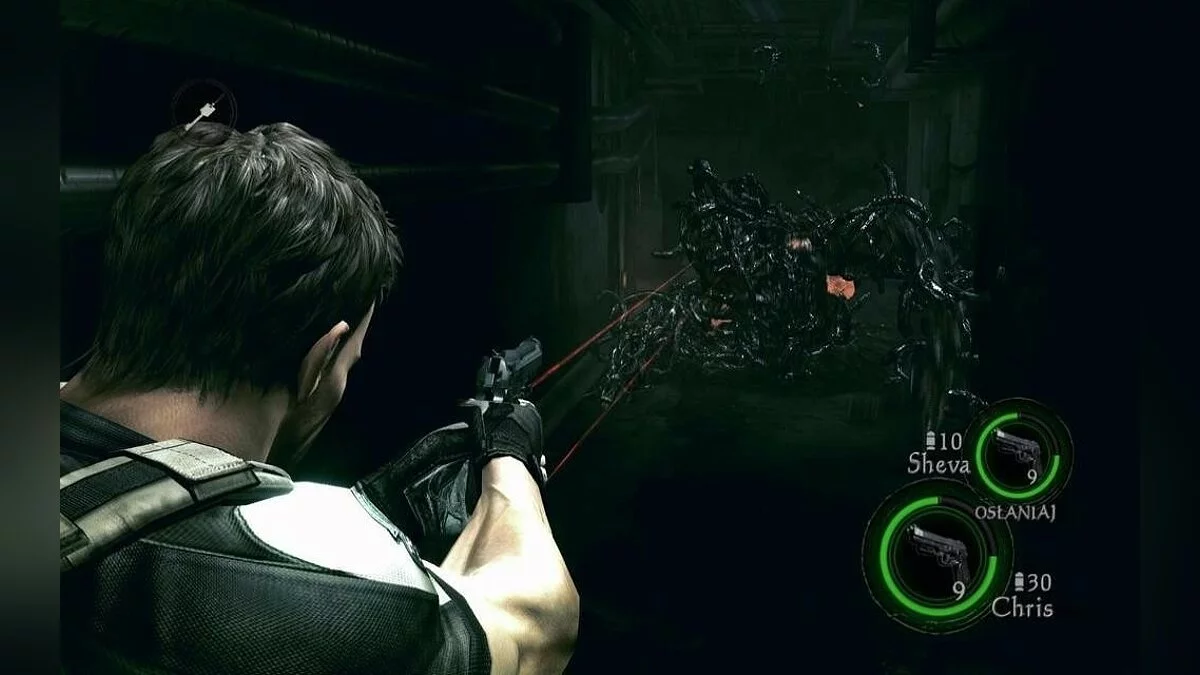 Скриншоты из Resident Evil 5 / Картинка 246