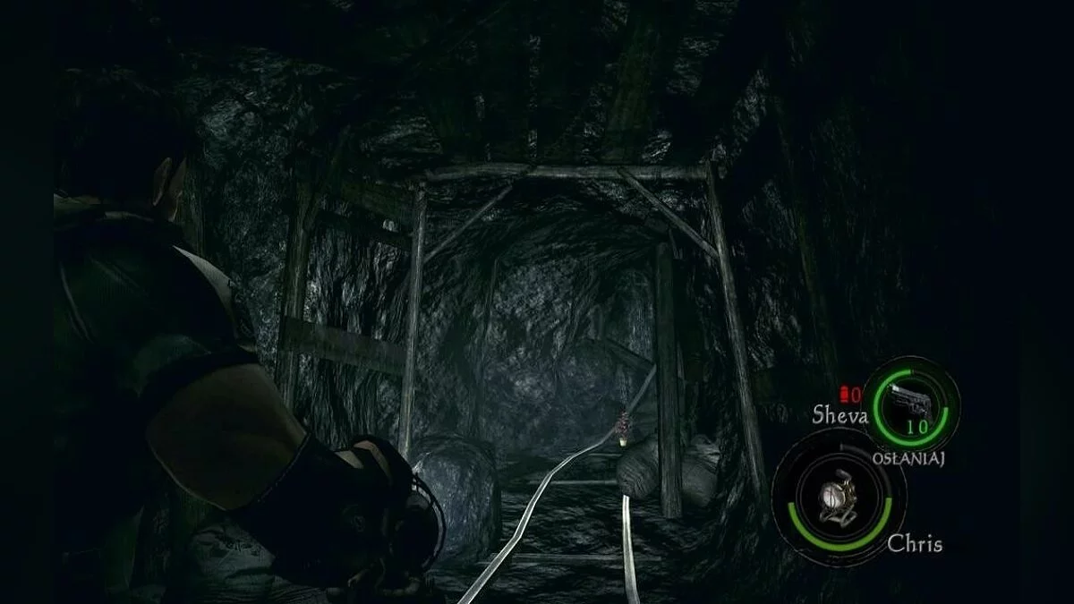 Скриншоты из Resident Evil 5 / Картинка 248