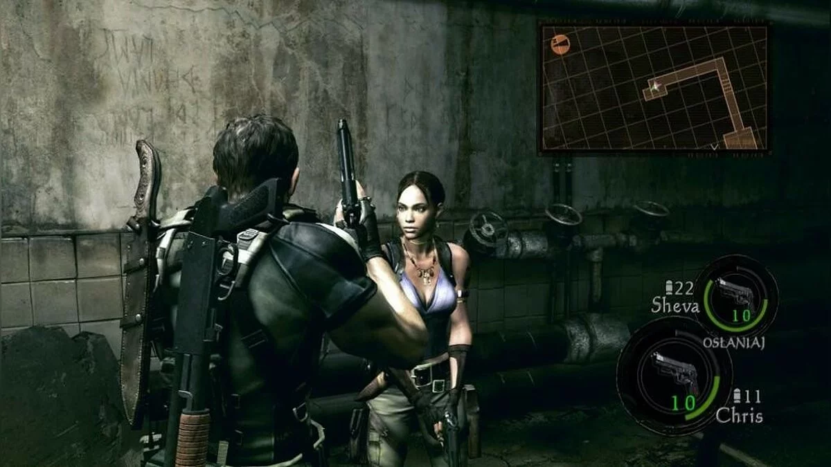 Скриншоты из Resident Evil 5 / Картинка 257