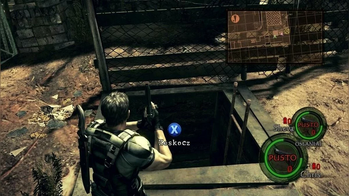 Скриншоты из Resident Evil 5 / Картинка 262