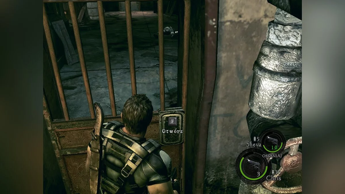 Скриншоты из Resident Evil 5 / Картинка 347