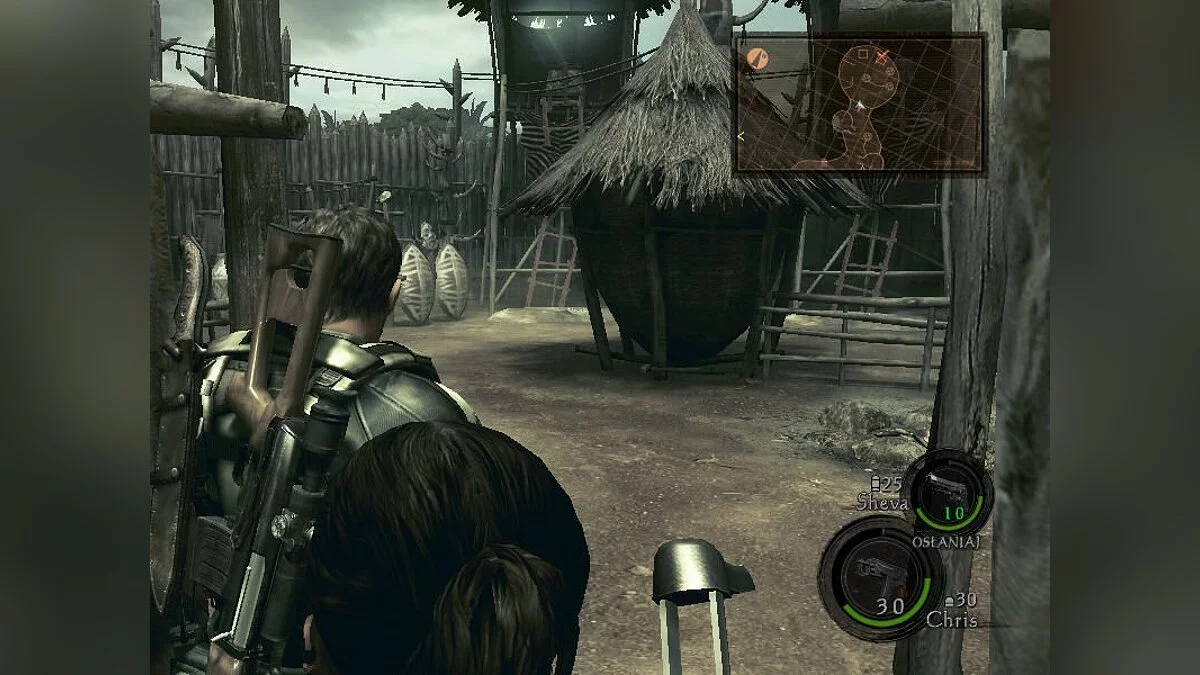Скриншоты из Resident Evil 5 / Картинка 348