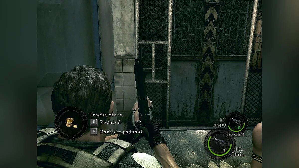 Скриншоты из Resident Evil 5 / Картинка 350