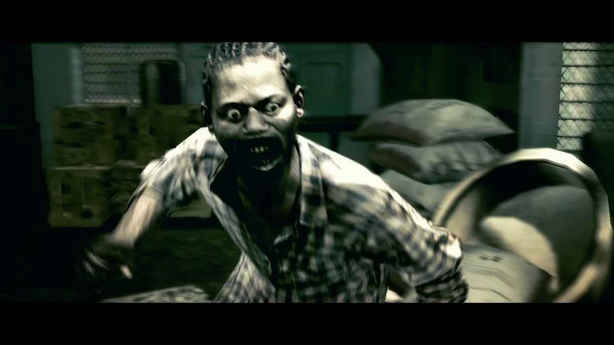 Скриншоты из Resident Evil 5 / Картинка 22