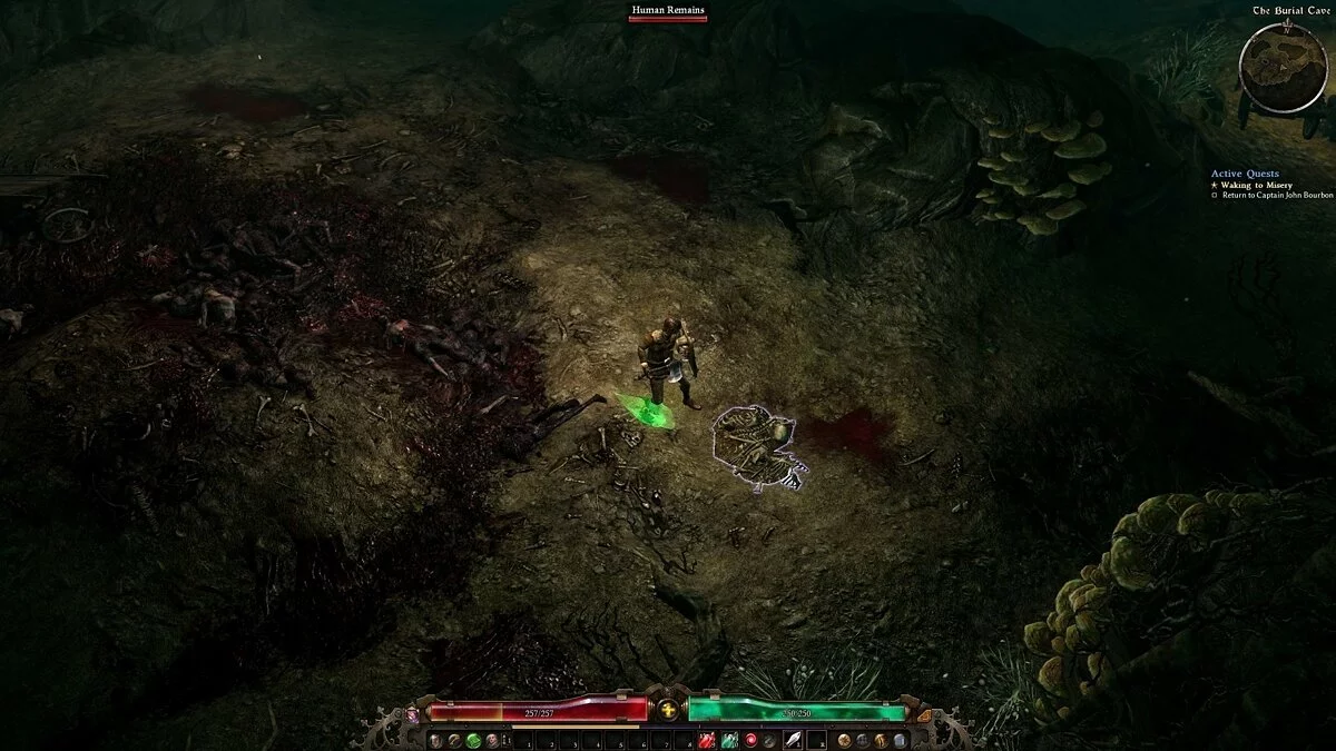 Скриншоты из Grim Dawn / Картинка 119