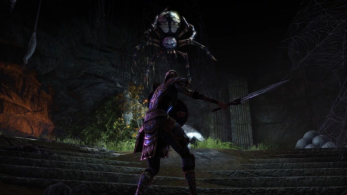 Скриншоты из The Elder Scrolls Online / Картинка 41