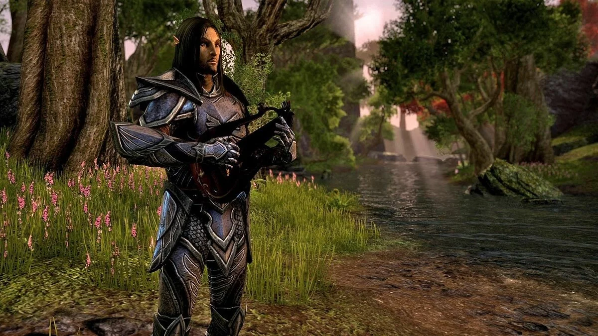 Скриншоты из The Elder Scrolls Online / Картинка 50