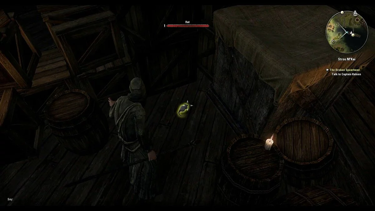 Скриншоты из The Elder Scrolls Online / Картинка 54