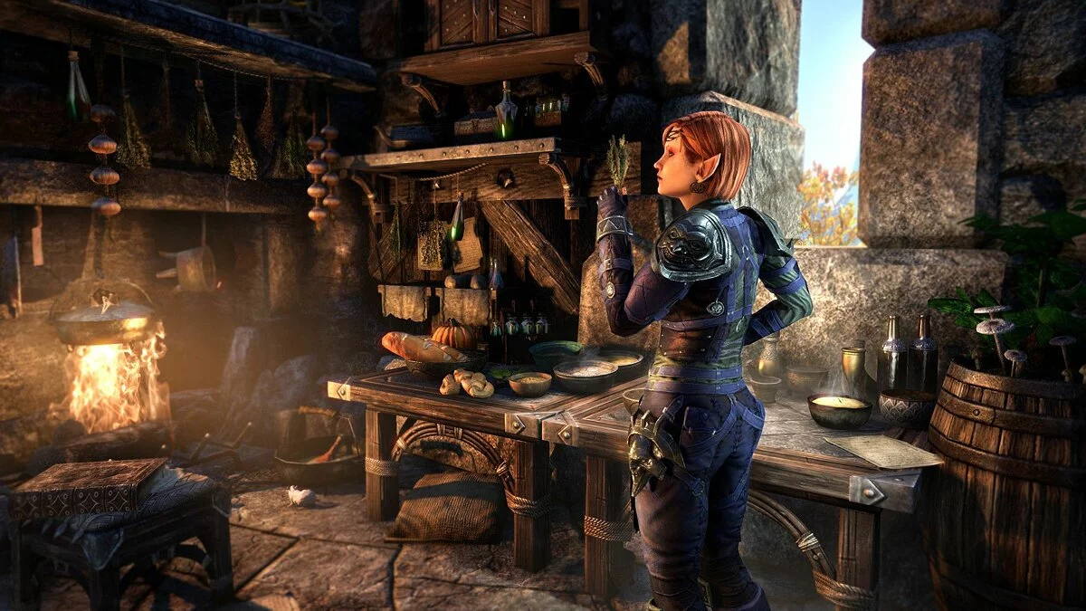 Скриншоты из The Elder Scrolls Online / Картинка 165