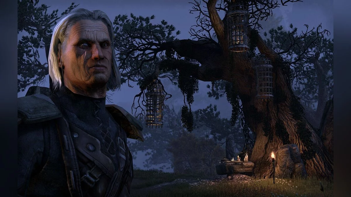 Скриншоты из The Elder Scrolls Online / Картинка 65