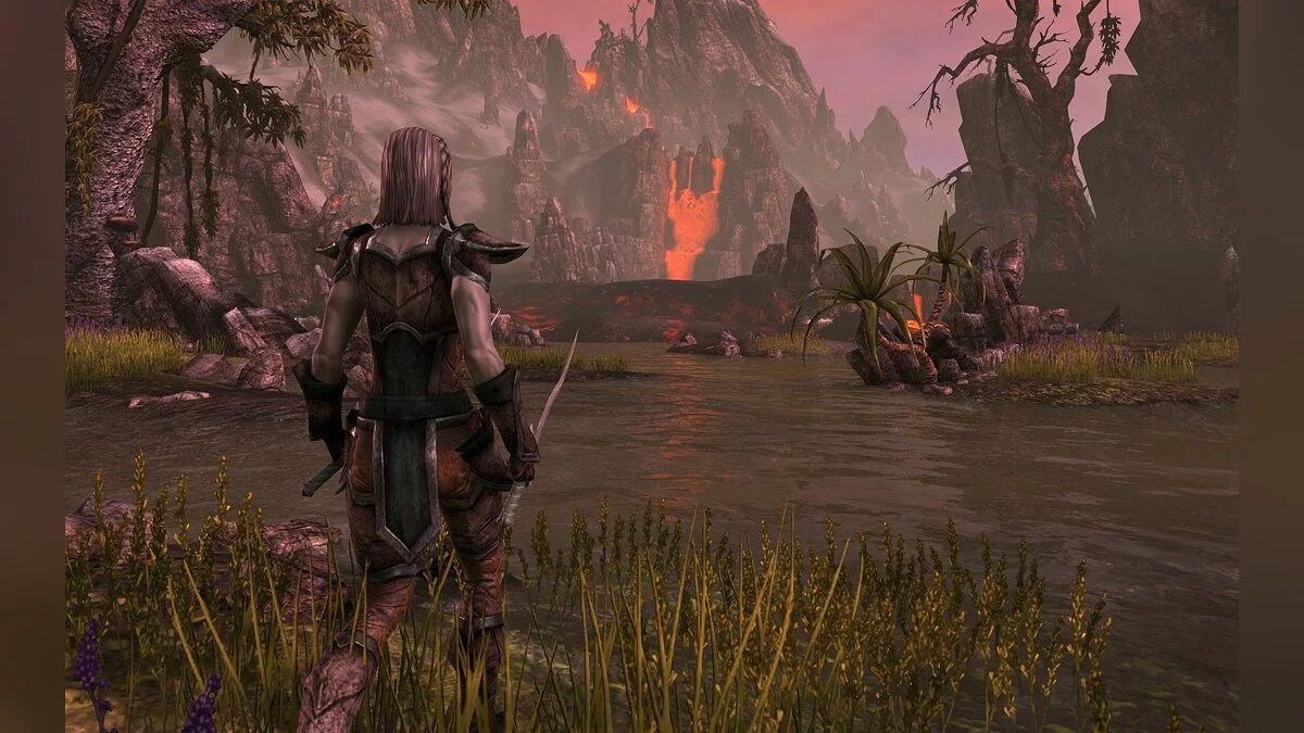 Скриншоты из The Elder Scrolls Online / Картинка 24
