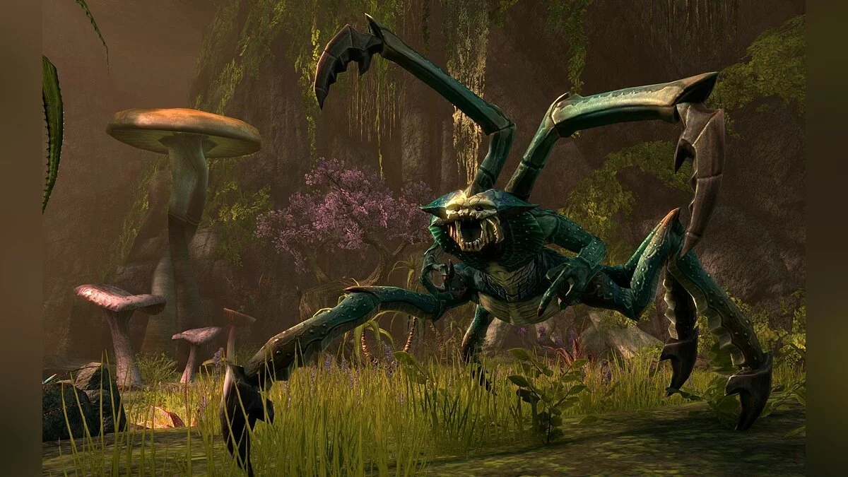 Скриншоты из The Elder Scrolls Online / Картинка 26