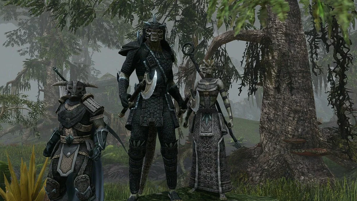 Скриншоты из The Elder Scrolls Online / Картинка 27