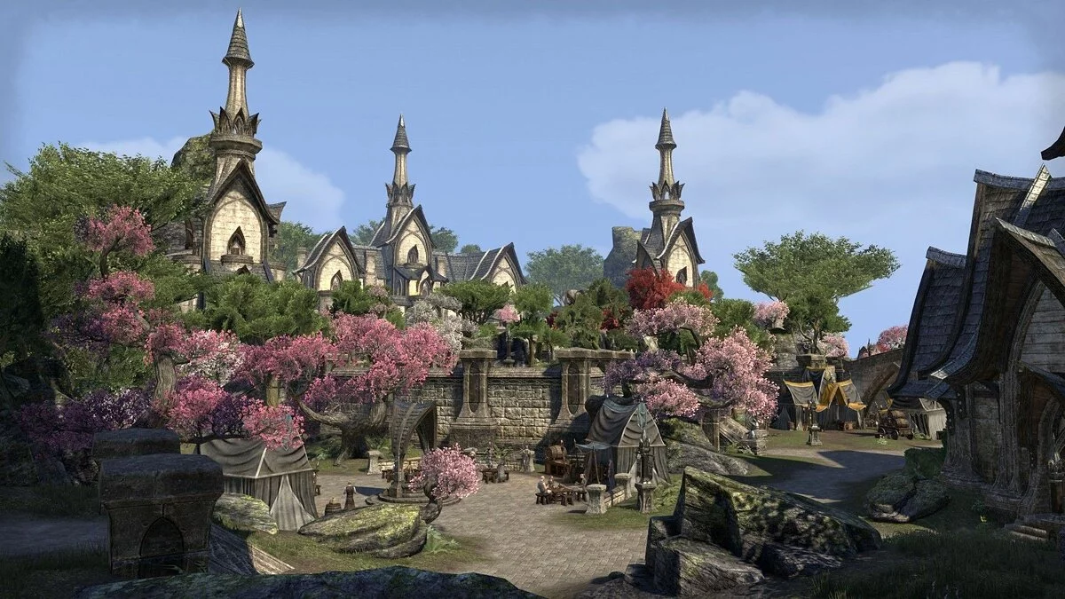 Скриншоты из The Elder Scrolls Online / Картинка 113