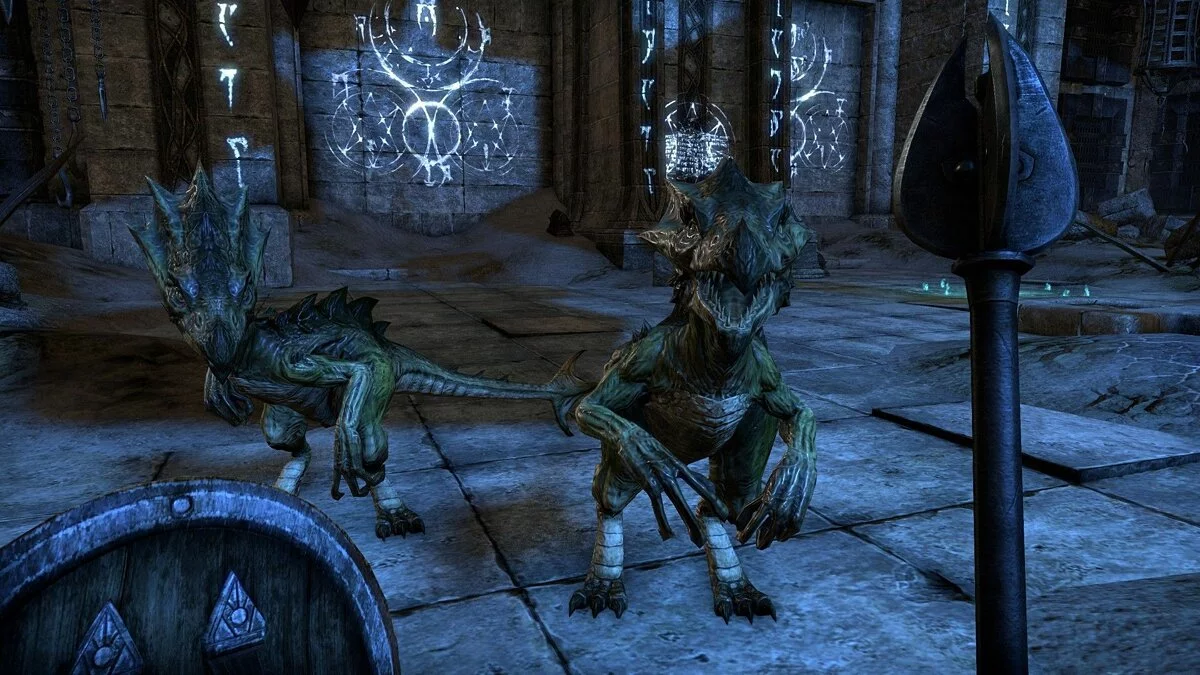Скриншоты из The Elder Scrolls Online / Картинка 114