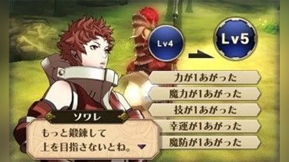 Скриншоты из Fire Emblem: Awakening / Картинка 28