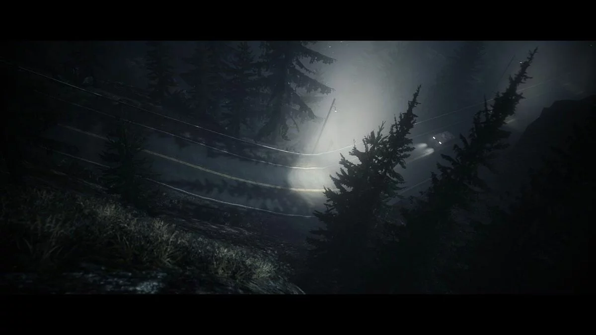 Скриншоты из Alan Wake / Картинка 39