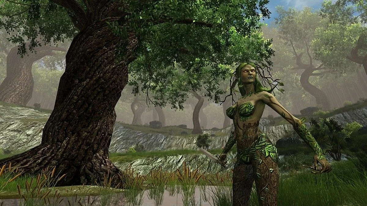 Скриншоты из Dungeons and Dragons Online / Картинка 2