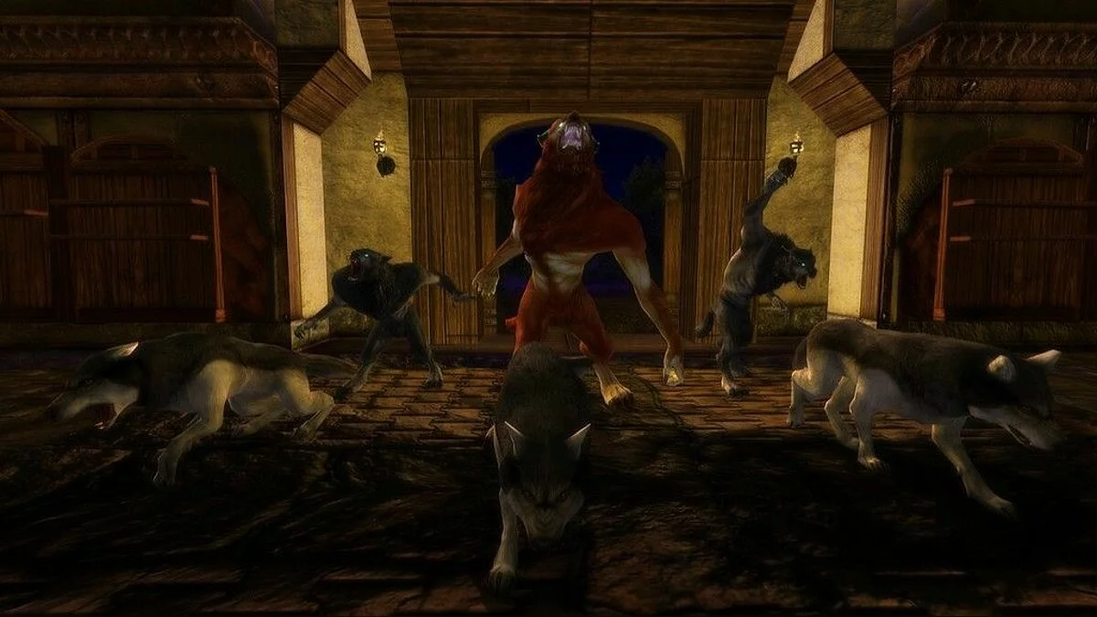 Скриншоты из Dungeons and Dragons Online / Картинка 9