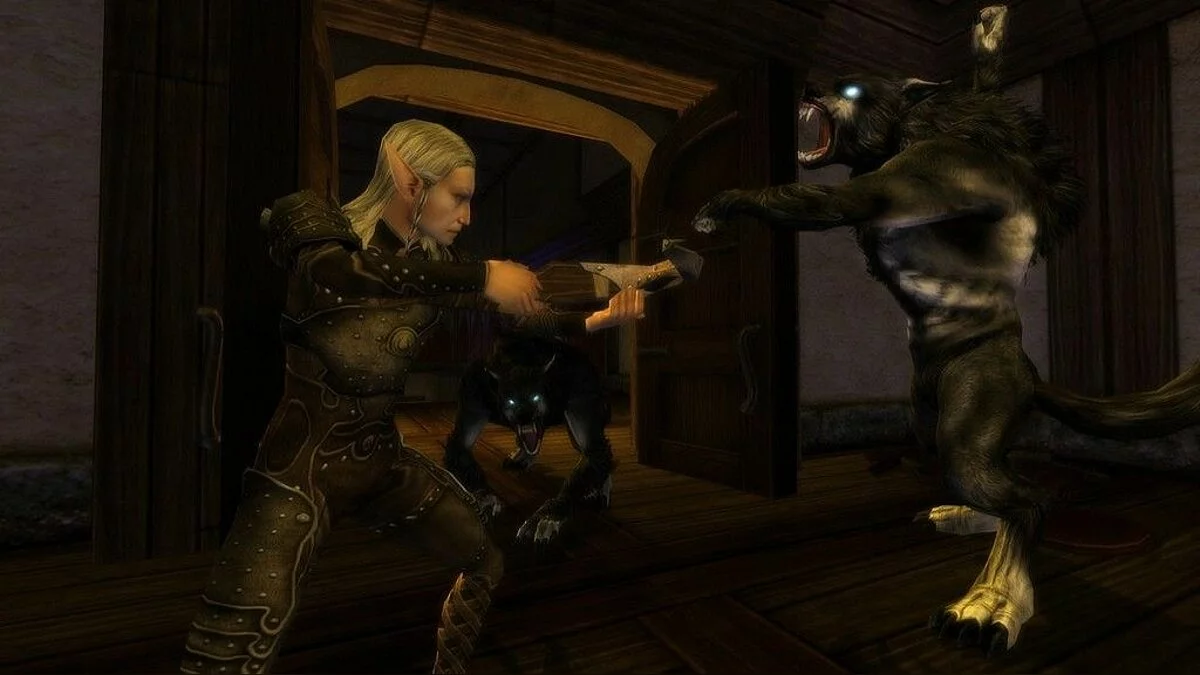 Скриншоты из Dungeons and Dragons Online / Картинка 10