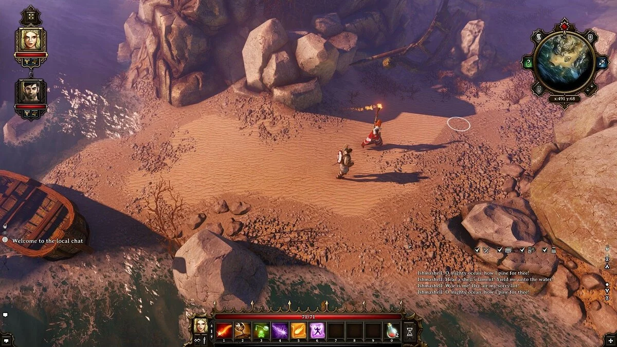 Скриншоты из Divinity: Original Sin / Картинка 136